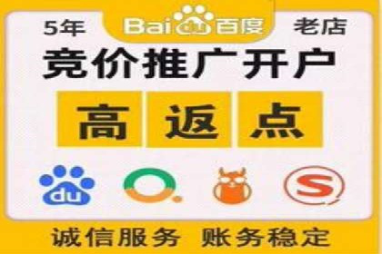 信息流竞价策略解析：成功案例分析