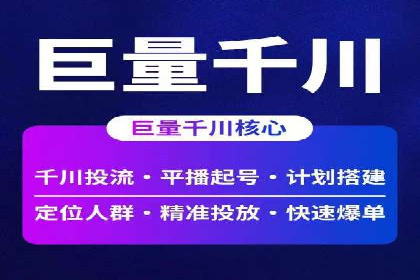 竞价广告的创意与执行：某快消品的营销突破